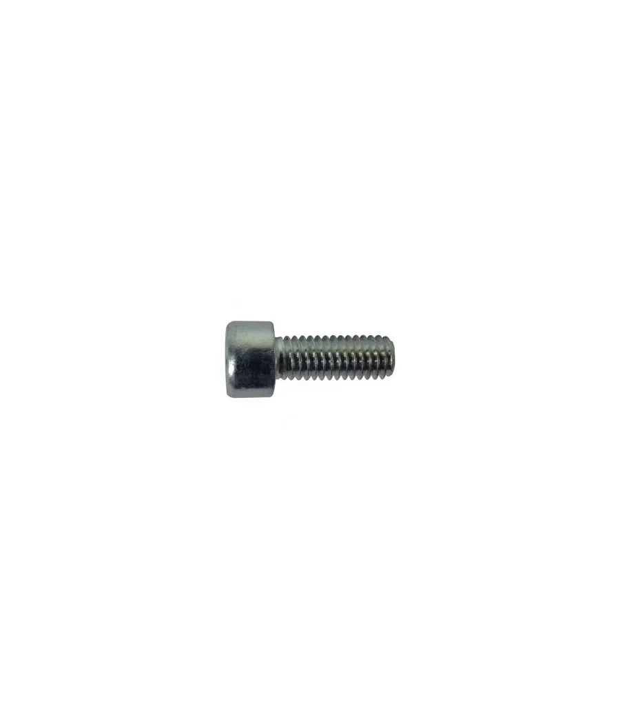 TORNILLO FRENO RENO R1 R2 R3 1,25